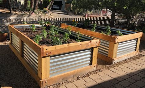 metal raised garden bed dangers